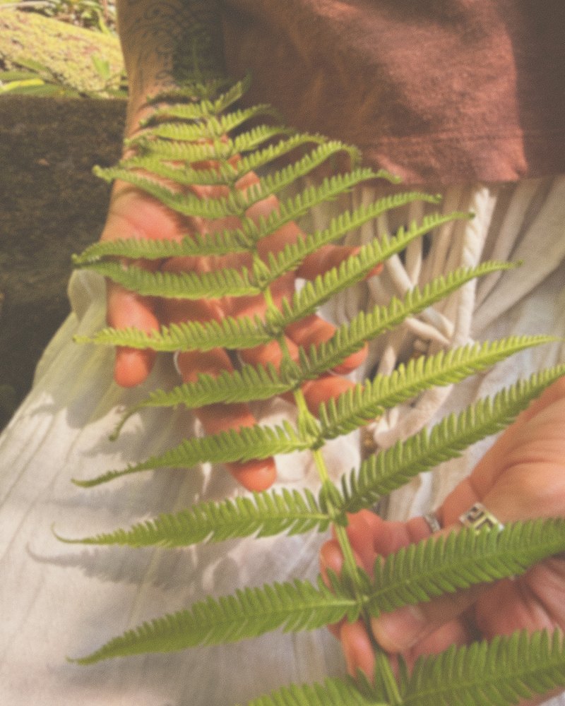 A fern frond held against soft cream cloth.
